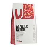 Anabolic Gainer 1000g