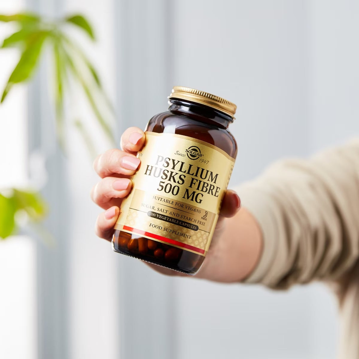 Solgar Fibra de Psílio 500 mg 200 Cápsulas Vegetais em utilização